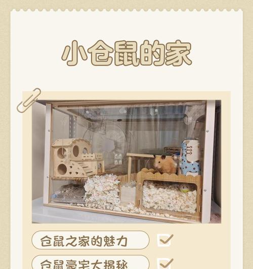 没有桶如何为仓鼠提供合适的居住环境? 没有桶如何为仓鼠提供合适的居住环境?