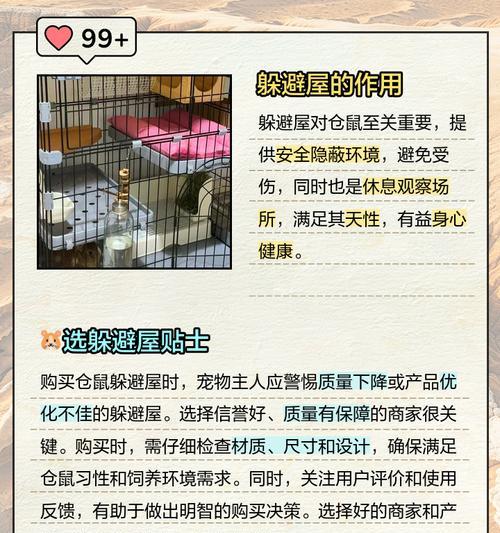 没有桶如何为仓鼠提供合适的居住环境? 没有桶如何为仓鼠提供合适的居住环境?