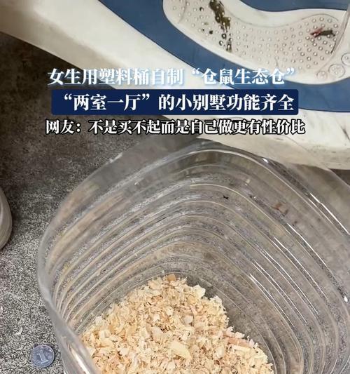没有桶如何为仓鼠提供合适的居住环境? 没有桶如何为仓鼠提供合适的居住环境?