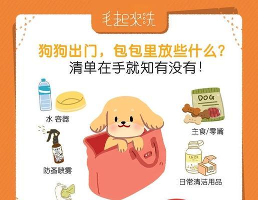 狗狗旅行时如何安全带回家？需要准备哪些物品？
