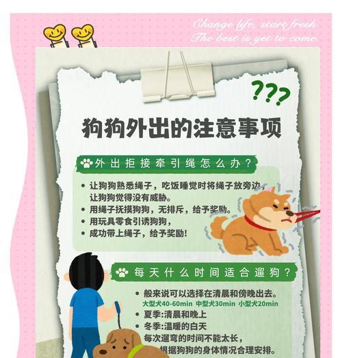 狗狗旅行时如何安全带回家?需要准备哪些物品? 狗狗旅行时如何安全带回家?需要准备哪些物品?