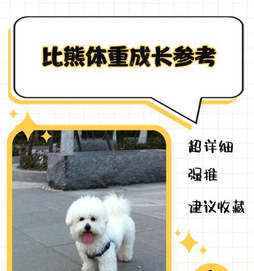 三个月大的比熊犬体重标准是多少？