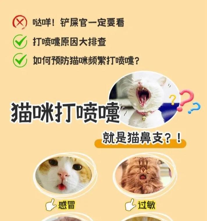 宠物情绪管理(应对宠物情绪低落) 宠物情绪管理(应对宠物情绪低落)