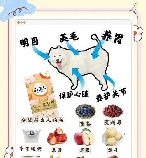 狗狗毛发稀疏应该补充什么营养?有哪些食物推荐? 狗狗毛发稀疏应该补充什么营养?有哪些食物推荐?