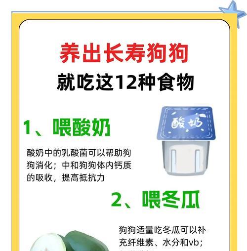 狗狗毛发稀疏应该补充什么营养？有哪些食物推荐？