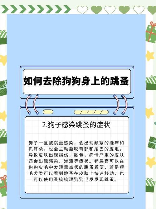 狗狗跳蚤问题:跳蚤的识别与防治? 狗狗跳蚤问题:跳蚤的识别与防治?