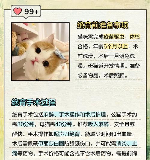 国内猫绝育手术费用是多少?术后护理需要注意什么? 国内猫绝育手术费用是多少?术后护理需要注意什么?