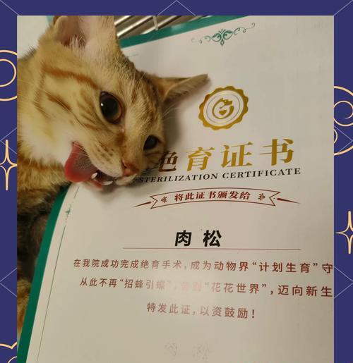 国内猫绝育手术费用是多少?术后护理需要注意什么? 国内猫绝育手术费用是多少?术后护理需要注意什么?