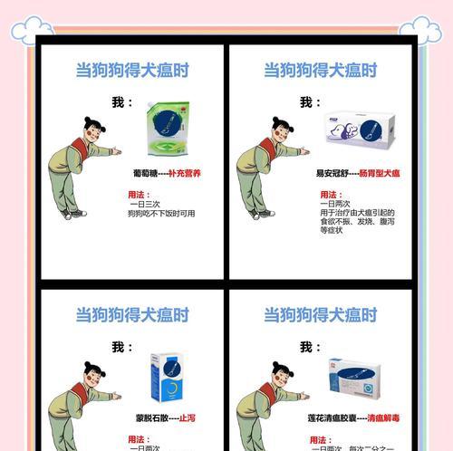 狗狗如何感染犬瘟？怎样预防？