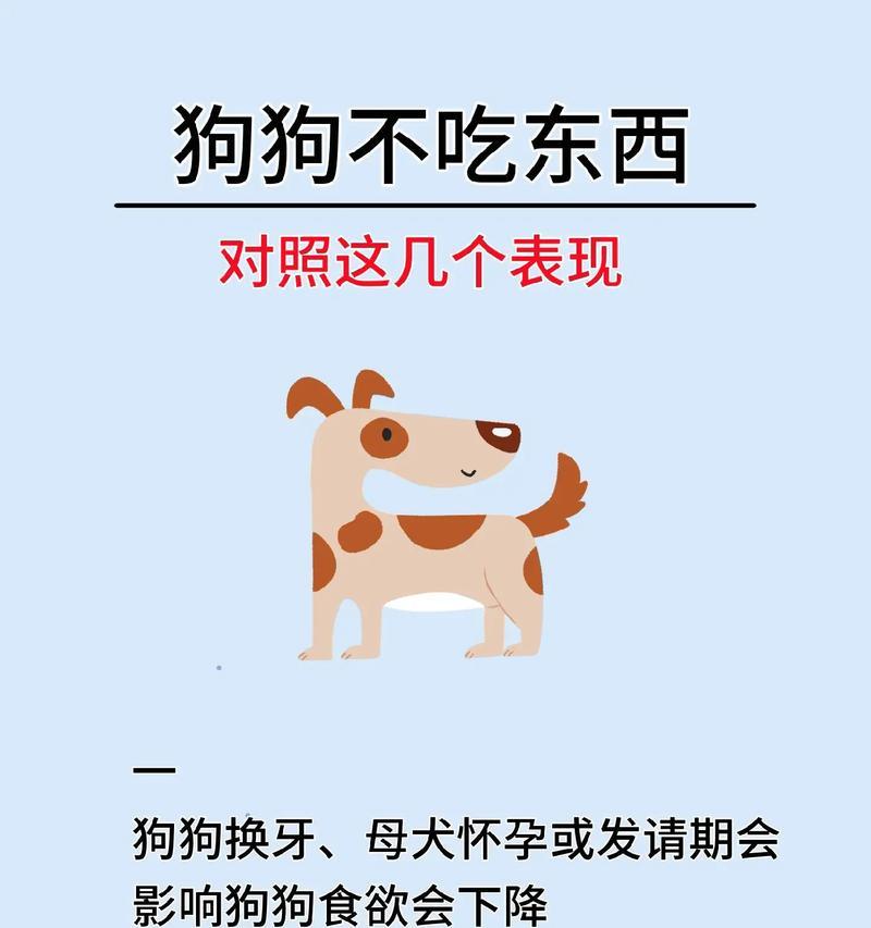 狗狗不吃东西不喝水,应该怎么办(教你如何应对狗狗不吃东西不喝水的情况) 狗狗不吃东西不喝水,应该怎么办(教你如何应对狗狗不吃东西不喝水的情况)