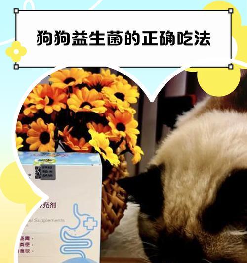 狗狗益生菌吃什么好？如何选择合适的益生菌？