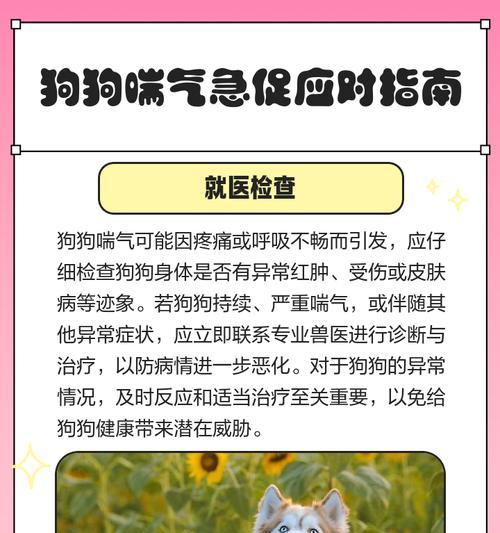 狗狗哮喘的有效治疗方法是什么? 狗狗哮喘的有效治疗方法是什么?