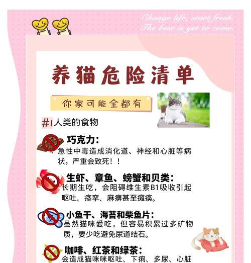小猫误食包子后应如何处理？喂食小猫包子有哪些风险？