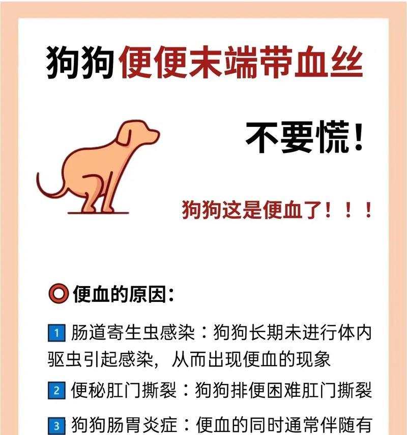 宠物猫咪便血的原因与治疗（探究猫咪便血的类型）