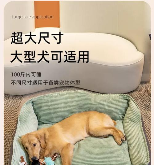 狗狗笼养时应选择哪种垫子? 狗狗笼养时应选择哪种垫子?