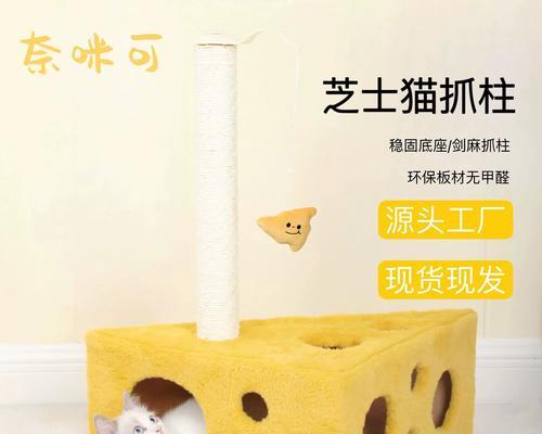 猫咪钻洞的秘密(揭秘猫咪钻洞的技巧和原因) 猫咪钻洞的秘密(揭秘猫咪钻洞的技巧和原因)