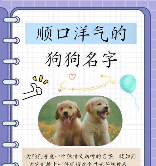 给狗狗取名字有什么好建议？如何选择一个合适的名字？