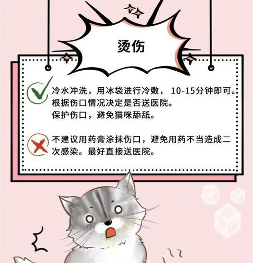 小猫不慎掉入厕所如何救助?紧急处理措施是什么? 小猫不慎掉入厕所如何救助?紧急处理措施是什么?