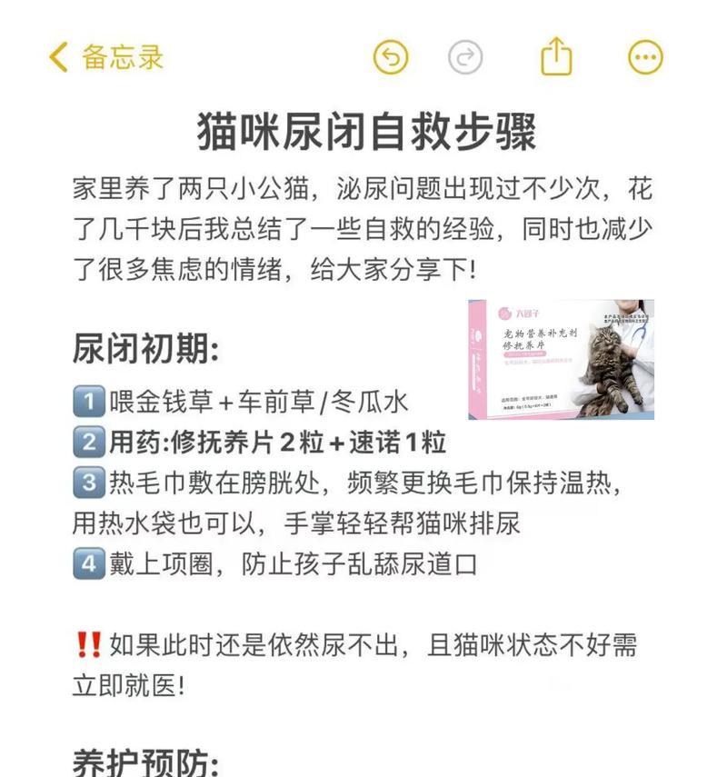 小猫不慎掉入厕所如何救助?紧急处理措施是什么? 小猫不慎掉入厕所如何救助?紧急处理措施是什么?