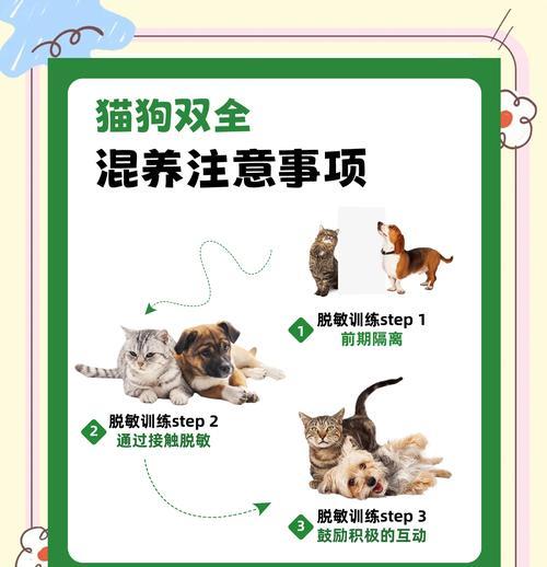 狗狗和猫咪长大后会共用猫砂吗?原因是什么? 狗狗和猫咪长大后会共用猫砂吗?原因是什么?