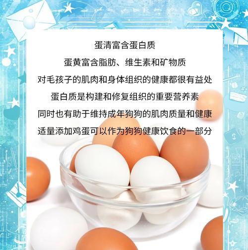 狗狗不吃鸡蛋了吗？春季饮食习惯改变的原因是什么？