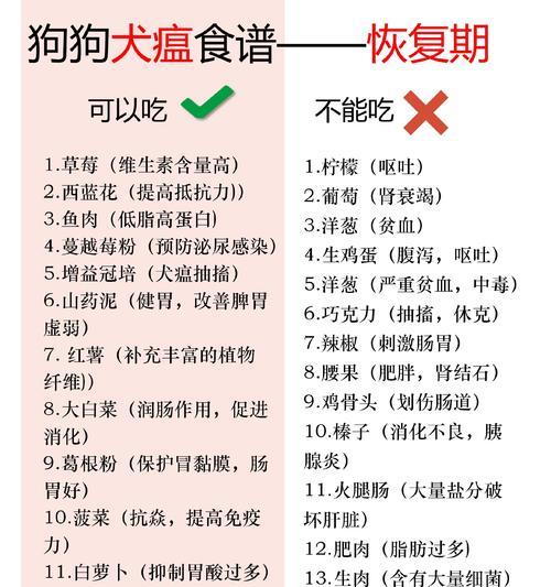 狗狗犬瘟应该吃什么？有哪些适合犬瘟狗狗的食物？