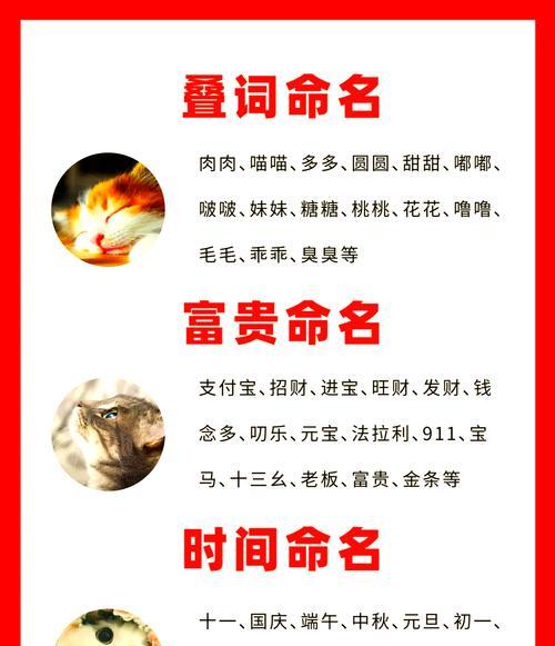 给小猫取什么名字好听? 给小猫取什么名字好听?