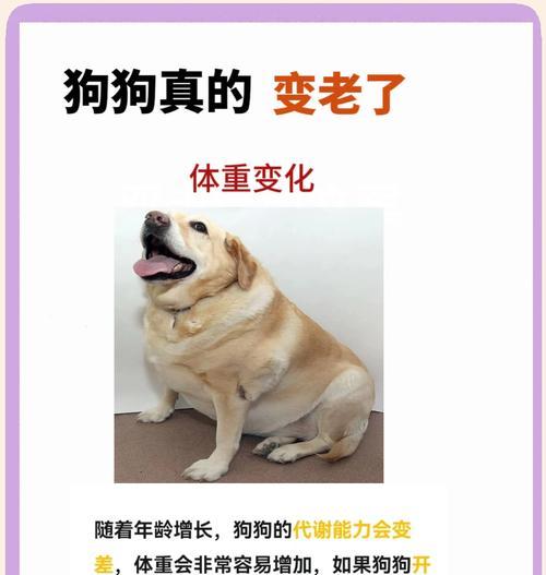 狗狗能变异吗？变异狗狗的特征是什么？