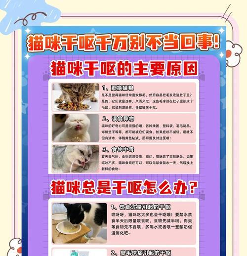 猫咪便干拉不出怎么办（一定要重视）