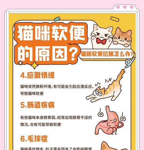 小猫拉稀不吃东西怎么办?如何判断小猫的健康状况? 小猫拉稀不吃东西怎么办?如何判断小猫的健康状况?