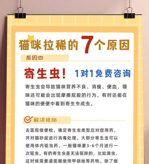小猫拉稀不吃东西怎么办?如何判断小猫的健康状况? 小猫拉稀不吃东西怎么办?如何判断小猫的健康状况?