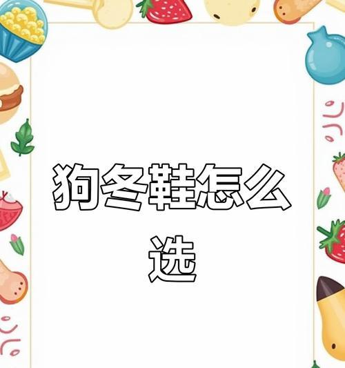 如何为狗狗挑选合适的鞋子？