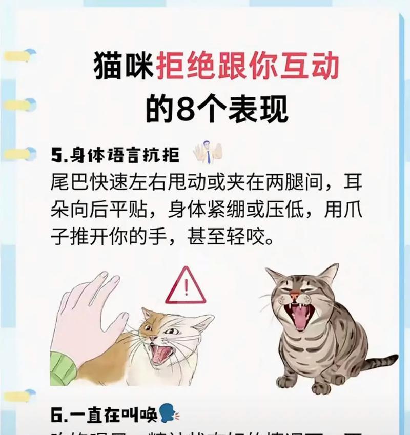 小猫盯着手不放是何原因?如何正确逗猫? 小猫盯着手不放是何原因?如何正确逗猫?