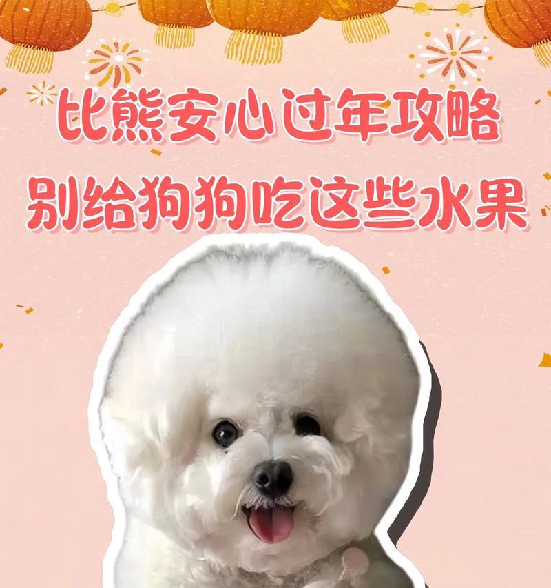 狗狗不吃水果怎么办？如何提高狗狗对水果的兴趣？