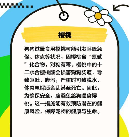 狗狗不吃水果怎么办?如何提高狗狗对水果的兴趣? 狗狗不吃水果怎么办?如何提高狗狗对水果的兴趣?
