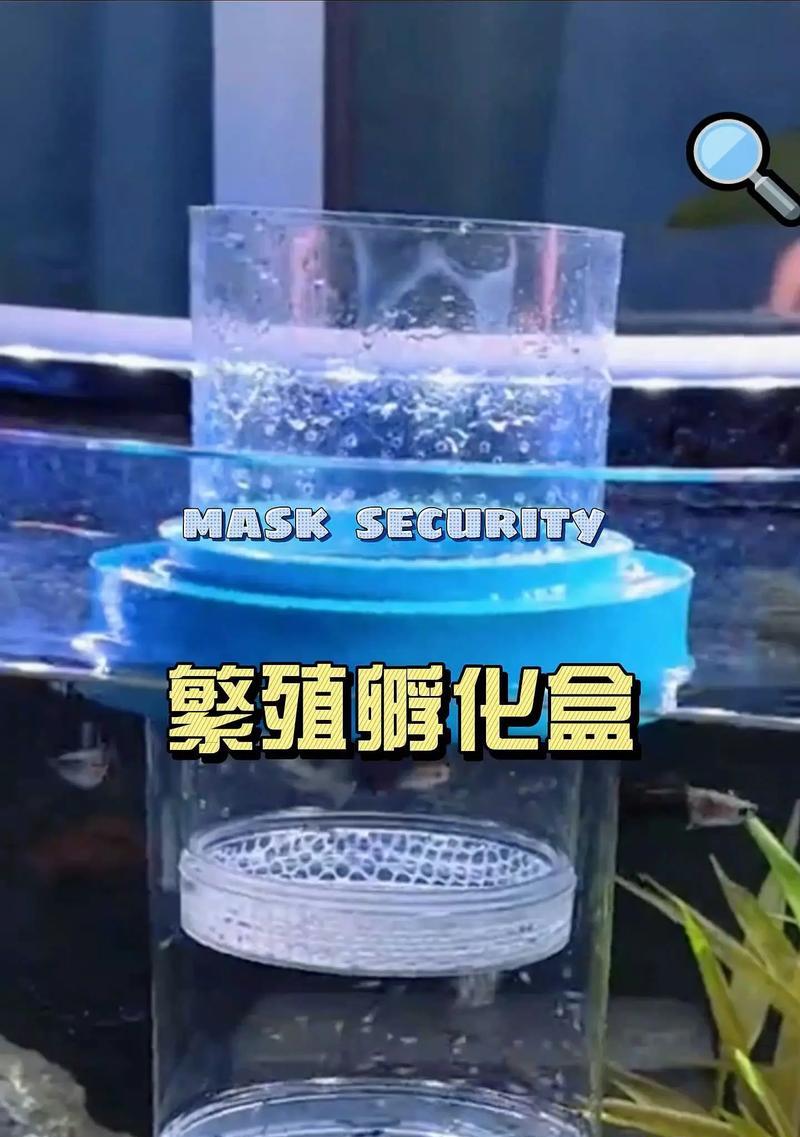 孔雀鱼苗盒的正确使用方法是什么？使用过程中应注意哪些问题？