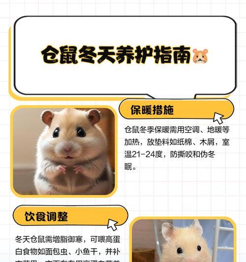 经济条件有限如何养仓鼠?有哪些替代品可以使用? 经济条件有限如何养仓鼠?有哪些替代品可以使用?
