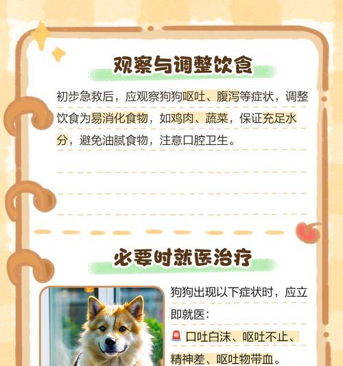 狗狗嘴巴花白是什么原因?如何预防和处理? 狗狗嘴巴花白是什么原因?如何预防和处理?