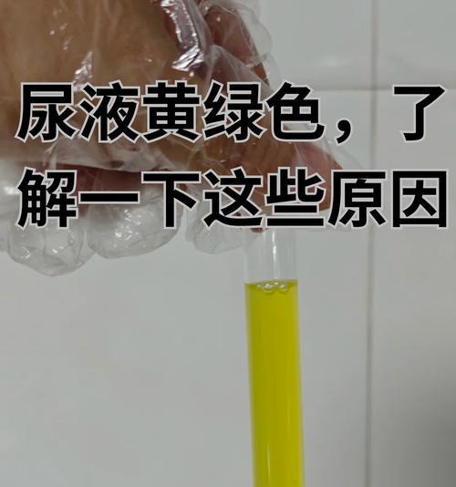 宠物饮食与健康(以喝水多尿黄为主要指标) 宠物饮食与健康(以喝水多尿黄为主要指标)