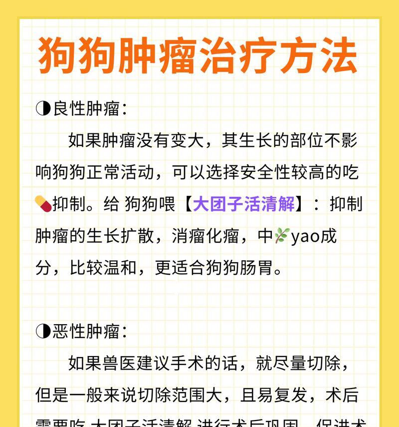 治疗宠物犬癌症的有效方法（了解宠物犬癌症的症状与治疗前提条件）