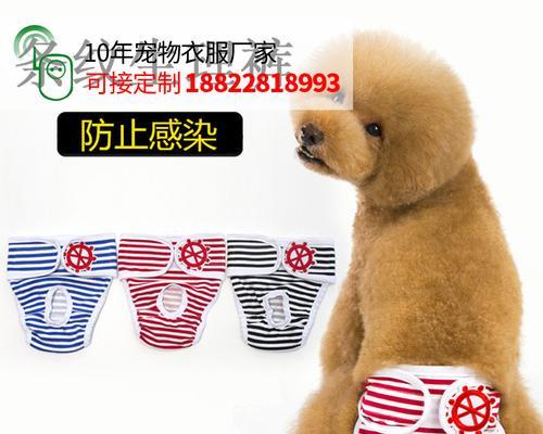 如何判断泰迪狗的例假是否结束(掌握这些方法) 如何判断泰迪狗的例假是否结束(掌握这些方法)