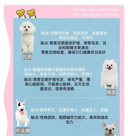 如何判断泰迪狗的例假是否结束（掌握这些方法）
