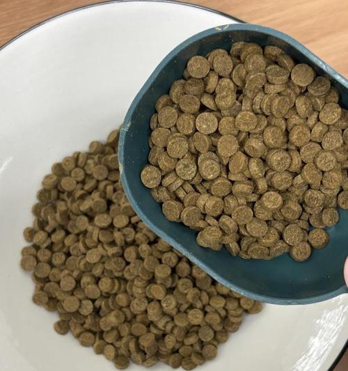 宠物金毛吃狗粮的影响（狗粮对金毛健康的影响及应对措施）