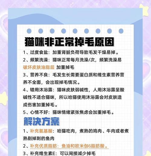 猫咪掉毛怎么办(探究猫咪掉毛的原因与解决方法) 猫咪掉毛怎么办(探究猫咪掉毛的原因与解决方法)