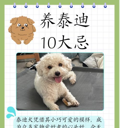 泰迪狗吃了盐怎么办(以宠物为主) 泰迪狗吃了盐怎么办(以宠物为主)