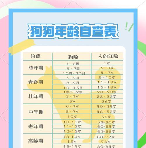 狗狗寿命（掌握狗狗寿命的关键因素）