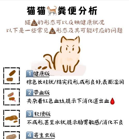 探究猫咪正常大便的特征（宠物主人必读！了解猫咪大便的关键是什么）