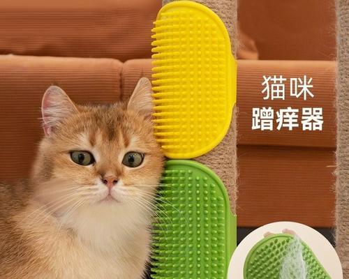 猫咪抓痒摇头,你知道其中的秘密吗(以宠物为主的抓痒习惯) 猫咪抓痒摇头,你知道其中的秘密吗(以宠物为主的抓痒习惯)