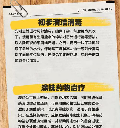 如何有效治疗以伯恩山犬的皮肤病（探究以伯恩山犬皮肤病的成因与治疗方法）