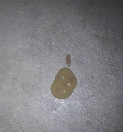 小狗拉稀怎么办（教你正确应对宠物拉稀问题）